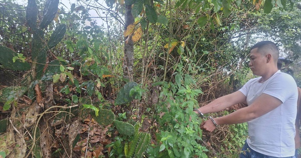 Thanh niên đi xe SH khống chế người phụ nữ, cướp vàng giữa đường vắng