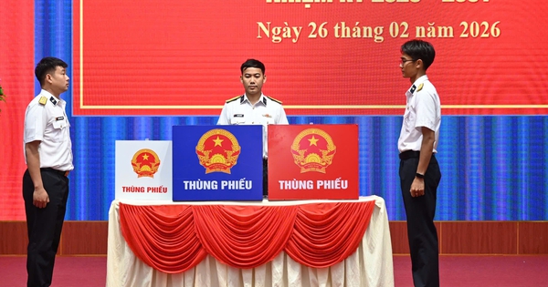 TPHCM khẩn trương rà soát, in thẻ cử tri, phát trước ngày 12-3