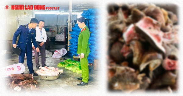 Thu giữ 6 tấn chân trâu thối suýt tuồn vào quán nhậu