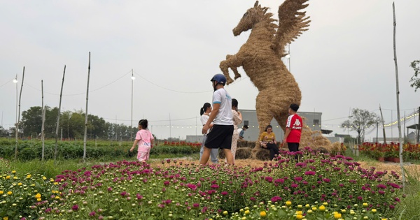 Độc đáo linh vật ngựa khổng lồ bằng rơm ở Tây Ninh