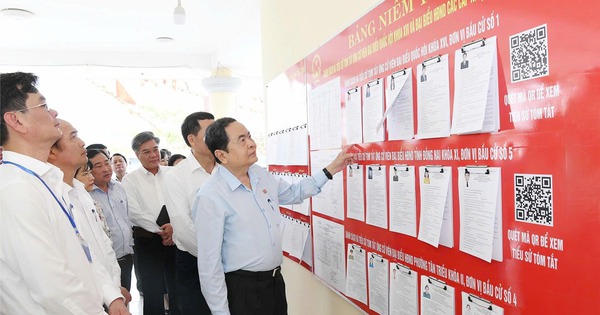 Quy trình bỏ phiếu bầu cử đại biểu Quốc hội khóa XVI và Hội đồng nhân dân các cấp