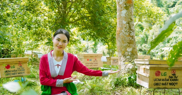 Những bóng hồng kiến tạo tương lai: "Linh Bản Thổ" với mô hình sinh kế bền vững