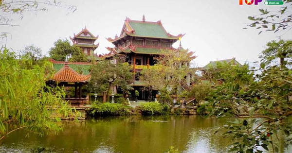 Trải nghiệm vẻ đẹp miền biển và văn hóa đất võ Bình Định cùng BinhDinhToplist