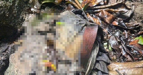 Phát hiện bộ xương người trong bìa rừng ở Măng Đen