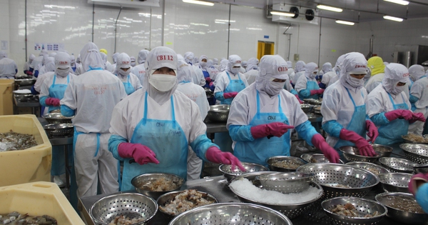 Xuất khẩu nông, lâm, thủy sản có thể giảm hàng tỉ USD vì xung đột ở Trung Đông