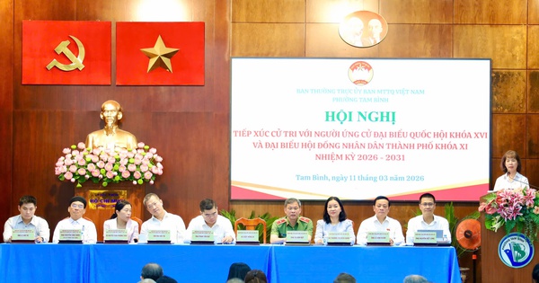 Cử tri phường Tam Bình -TPHCM kiến nghị xử lý ô nhiễm rạch Gò Dưa