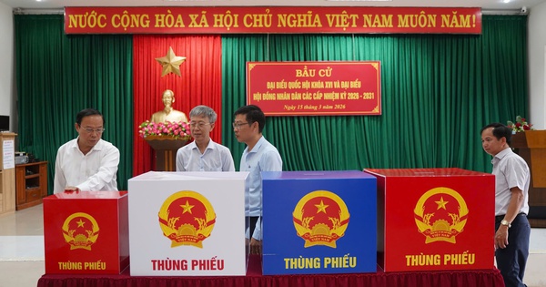 Lãnh đạo HĐND TPHCM kiểm tra công tác chuẩn bị bầu cử tại đặc khu Côn Đảo