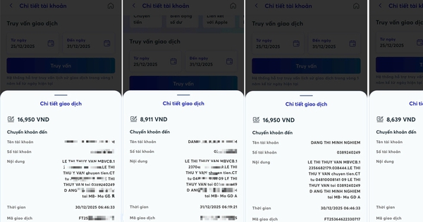 Một phụ nữ lừa đảo chiếm đoạt tài sản với thủ đoạn hiếm thấy