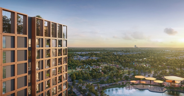 Chạm song view - Chạm cảm xúc đa sắc từ căn hộ Forest Garden