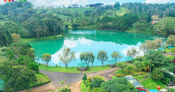 LamDongToplist: Nơi tổng hợp mọi góc nhìn toàn diện về điểm đến Lâm Đồng