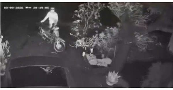 Vụ hiệu trưởng bị xe tải tông tử vong ở Tây Ninh: Đo nồng độ cồn những người liên quan