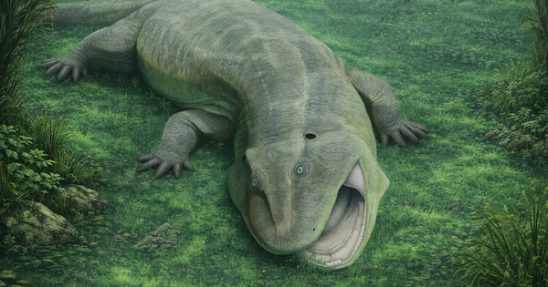 9 quái vật từ "lục địa đã mất" gây sốc cho giới khoa học