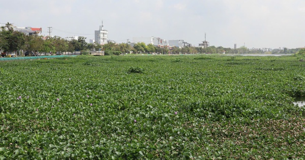 Cần Thơ: Chỉ đạo "nóng" sau phản ánh của Báo Người Lao Động liên quan hồ Búng Xáng