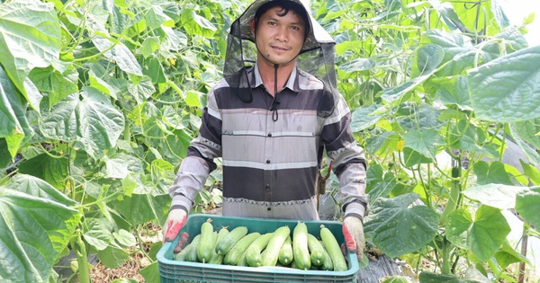 Lao động xuất khẩu chuyển hướng an toàn