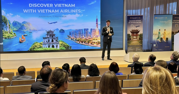 Hãng hàng không Việt mở thêm loạt đường bay quốc tế