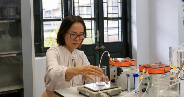 NHỮNG BÓNG HỒNG KIẾN TẠO TƯƠNG LAI (*): Người tiên phong trong lĩnh vực môi trường