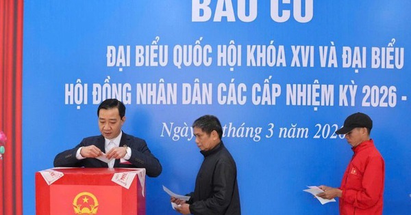 Gần 79 triệu cử tri cả nước đi bầu cử