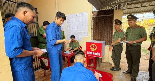 Hơn 500 người đang bị tạm giữ, tạm giam thực hiện quyền bầu cử