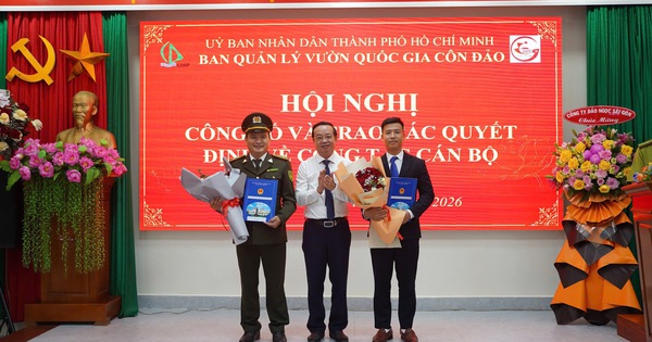 Công bố quyết định của Chủ tịch UBND TPHCM về công tác cán bộ