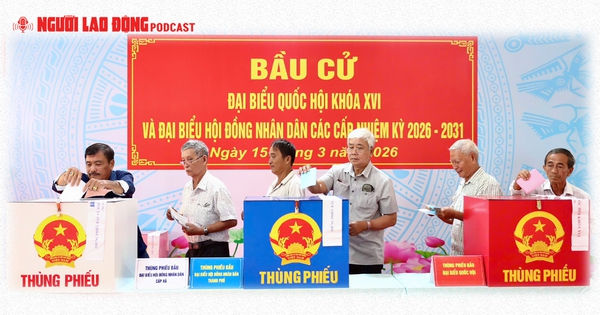 Cử tri cả nước hân hoan đi bầu cử