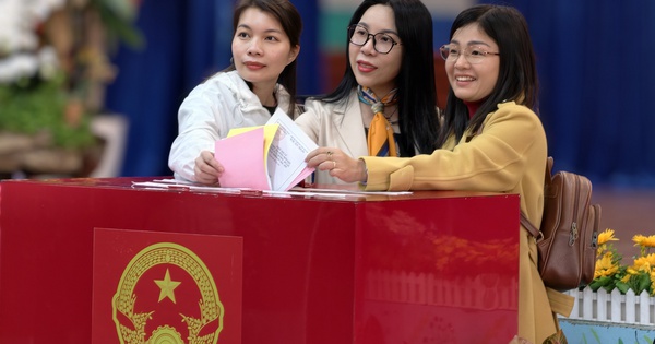 Hơn 2,7 triệu cử tri ở tỉnh có diện tích lớn nhất Việt Nam đi bỏ phiếu bầu cử