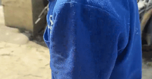 Hãi hùng cảnh cụ ông cụt tay kẹp rắn hổ mang dài hơn 2 mét đi trên đường