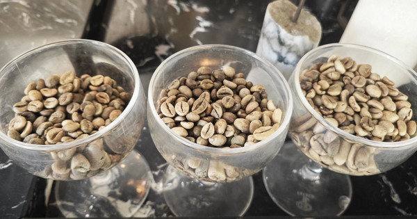 Nghịch lý: Nước không trồng cây cà phê nào lại có nhiều thương hiệu cà phê mạnh toàn cầu