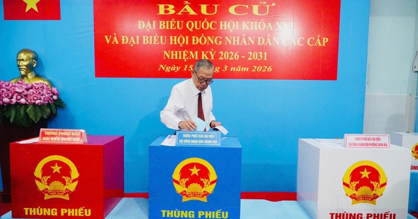 Cử tri cao tuổi ở TPHCM tham gia bầu cử