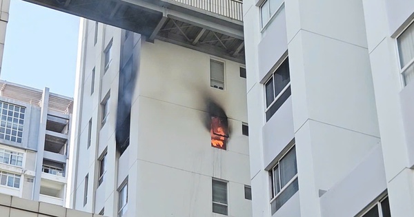 Nguyên nhân ban đầu vụ cháy căn hộ chung cư 25 tầng ở TPHCM