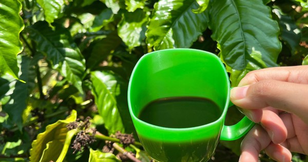 Cà phê rang củi - hương vị mộc mạc từ buôn làng