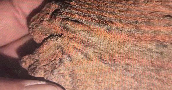 Nhờ bạn thẩm định trầm hương, người đàn ông ở Gia Lai "chết lặng"