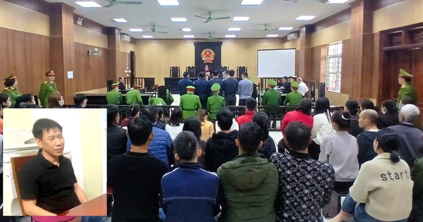 Mạnh "gỗ" lĩnh 10 năm tù, 2 trong 4 cựu cán bộ kiểm lâm lĩnh án treo