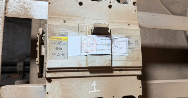 Vi phạm nghiêm trọng về môi trường, 2 doanh nghiệp ở Tây Ninh bị phạt đến hơn 4 tỉ đồng