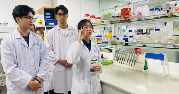 Hơn 240 dự án tranh tài tại cuộc thi khoa học kỹ thuật quốc gia