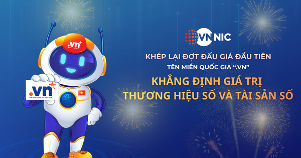 Đấu giá tên miền ".vn" lần đầu, giá cao nhất lên tới 1,584 tỉ đồng