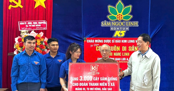 Lên thăm mô hình sâm Ngọc Linh, thanh niên được tặng cây giống để khởi nghiệp