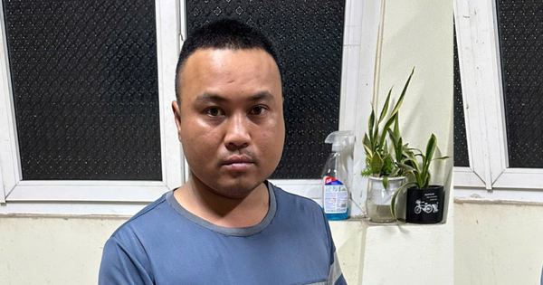 Bắt nghi phạm đập kính xe ô tô trộm cắp gần 100 triệu đồng