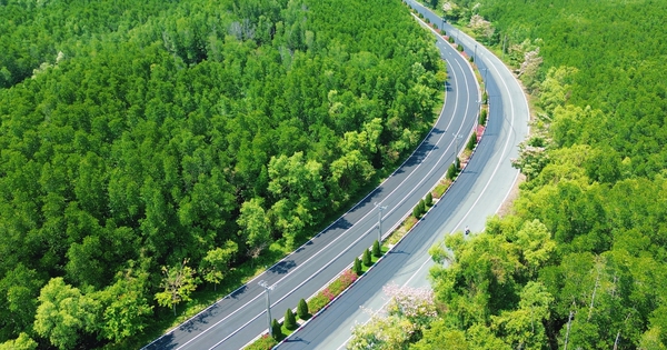 Một tuyến đường đang "đốn tim" giới trẻ TPHCM