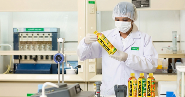 Hành trình 1500 ngày ra mắt Trà Mật Ong BONCHA Chanh Nhật Yuzu