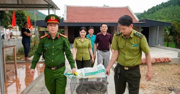 Thấy con trăn trong vườn nhà, người dân vội báo công an