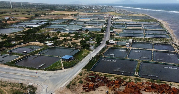 Điện hạt nhân quyết định sự tự chủ về năng lượng