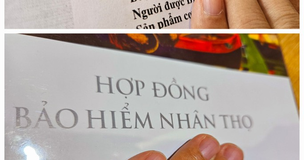 Trưởng Công an xã được xử phạt đến 50 triệu đồng các vi phạm về kinh doanh bảo hiểm