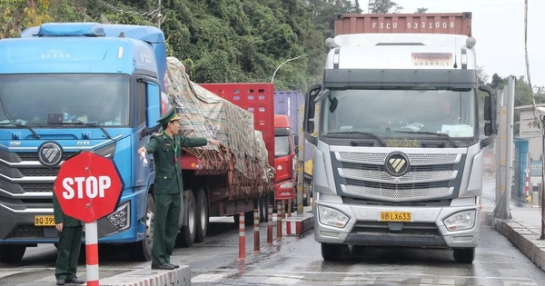 Đề xuất kéo dài tạm ngưng Nghị định 46, Nghị quyết 66.13