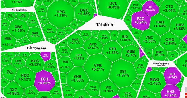 Chứng khoán tăng hơn 43 điểm, nhiều nhà đầu tư 