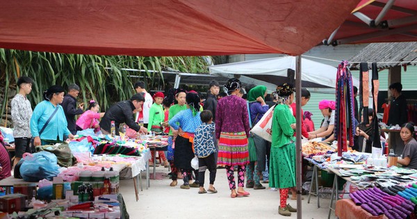 Local Vietnam khai trương Ha Giang Aya Lodge tại Bản Sủng Trái