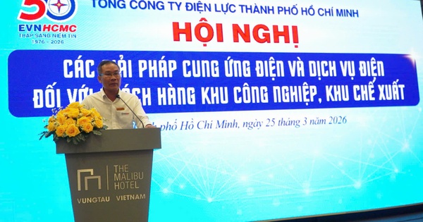 Điện lực TPHCM kích hoạt kịch bản ứng phó mùa khô