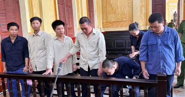 Ngỡ ngàng “siêu thị giấy tờ giả” phân phối về TPHCM