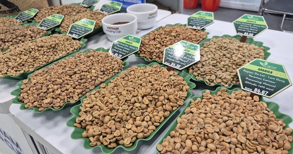Giá cà phê hôm nay 26-3: Xuất hiện loại cà phê hơn 8 triệu đồng/kg