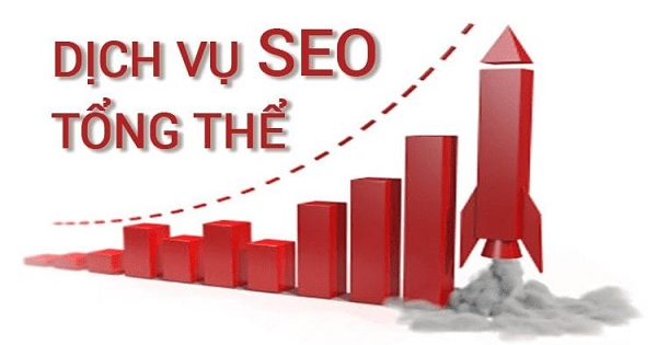 Khám phá dịch vụ SEO tổng thể tại DanaSEO giúp tăng trưởng traffic và doanh thu