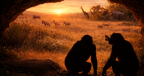 Phát hiện bất ngờ ở Đông Âu làm 